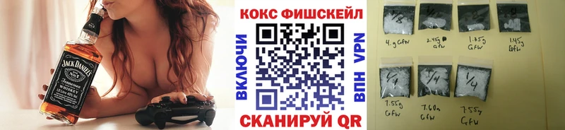 Cocaine Fish Scale  Купить  Волосово 