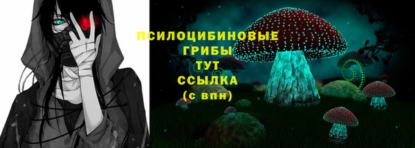 ПСИЛОЦИБИНОВЫЕ ГРИБЫ Бородино