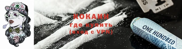 ПСИЛОЦИБИНОВЫЕ ГРИБЫ Бородино