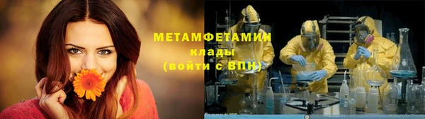 ПСИЛОЦИБИНОВЫЕ ГРИБЫ Бородино