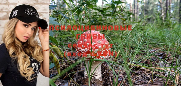 ПСИЛОЦИБИНОВЫЕ ГРИБЫ Бородино