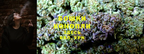 ПСИЛОЦИБИНОВЫЕ ГРИБЫ Бородино