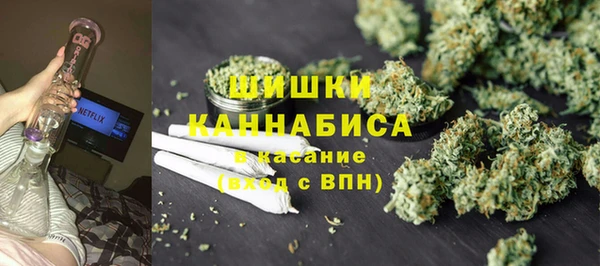 ПСИЛОЦИБИНОВЫЕ ГРИБЫ Бородино