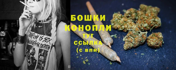 ПСИЛОЦИБИНОВЫЕ ГРИБЫ Бородино
