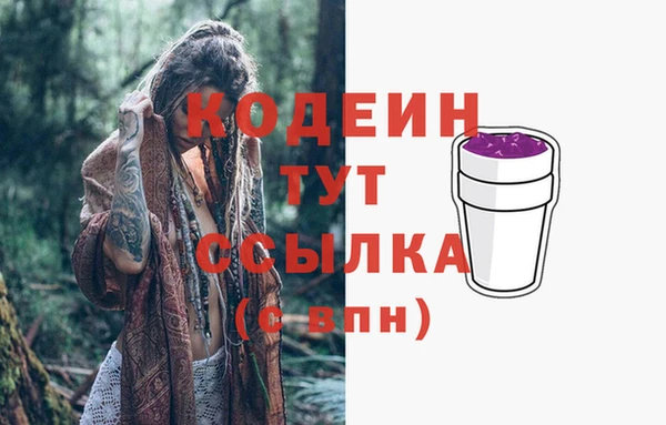 ПСИЛОЦИБИНОВЫЕ ГРИБЫ Бородино