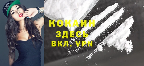 ПСИЛОЦИБИНОВЫЕ ГРИБЫ Бородино