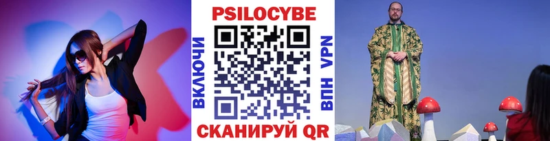 Галлюциногенные грибы Psilocybe  Купить закладки  Волосово 